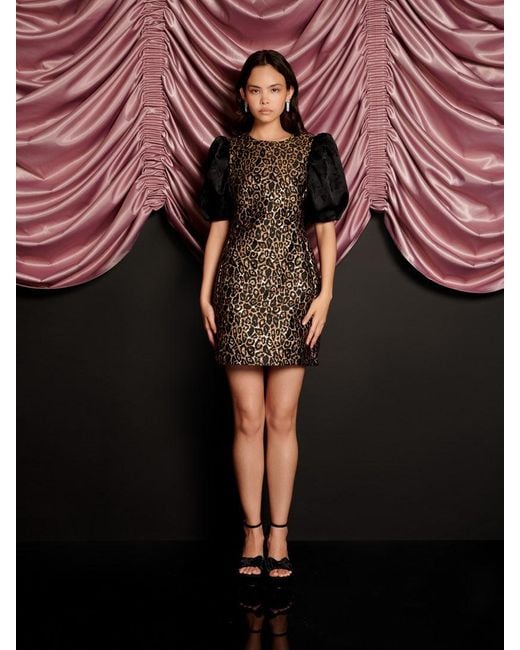 Sister Jane Multicolor Cherie Leopard Jacquard Mini Dress
