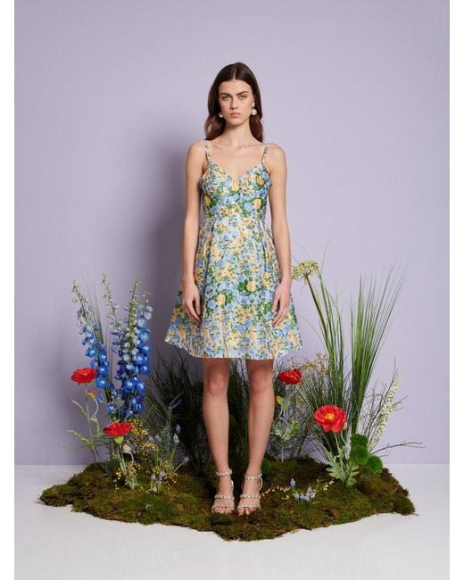 Sister Jane Multicolor Dream Marigold Jacquard Mini Dress