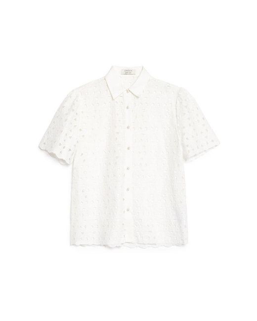 Sister Jane Blue Dream Thyme Cut Work Shirt