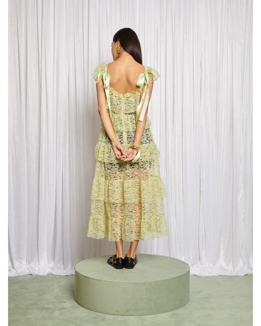 Sister Jane Multicolor Fern Fables Midi Dress