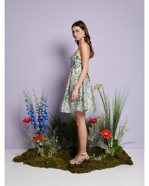 Sister Jane Multicolor Dream Marigold Jacquard Mini Dress