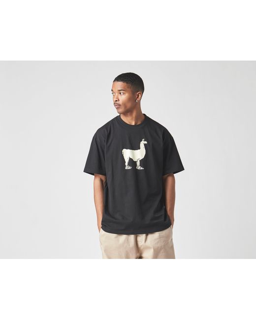 Nike Black Sb Paul The Llama T-shirt for men