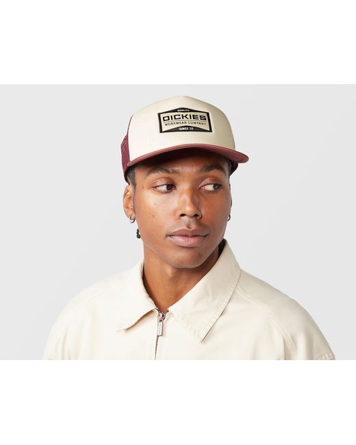 Dickies Natural Bolivar Trucker Cap