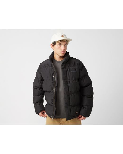 Dickies Black Scobey Puffer Jacket for men