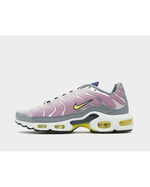 Lavender air store max plus