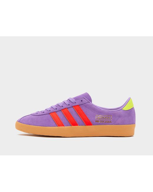 Adidas Originals Pink Mexicana for men