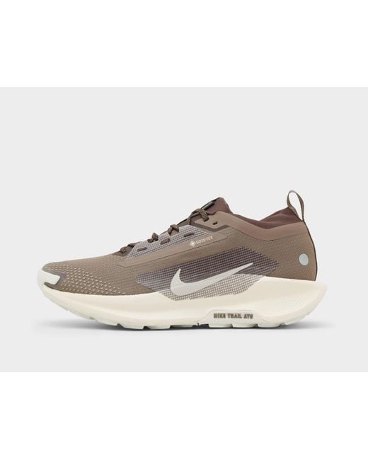 Nike Brown Pegasus Trail 5 Gore-Tex for men