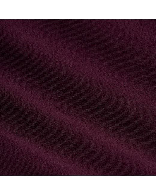 Skims Purple Cheeky Tanga