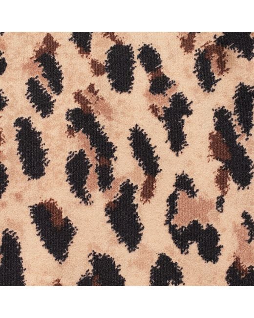 Skims Multicolor Picot Tanga 5-Pack