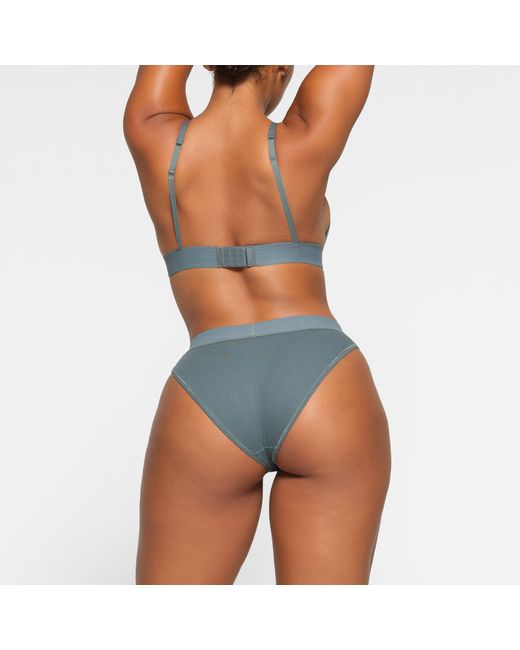 Skims Gray Brief