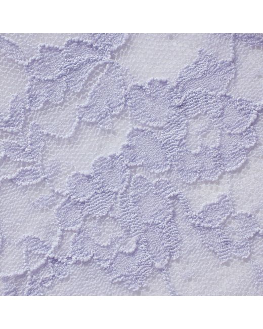 Skims Purple Brief