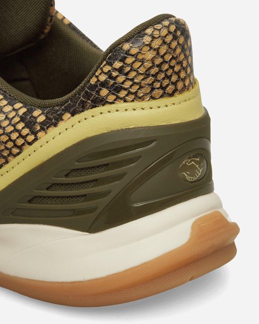 Adidas Green Slam Jam F50.7 Sala C5 Consortium Sneakers Powder / St Fade Ocean / Dark Cargo for men