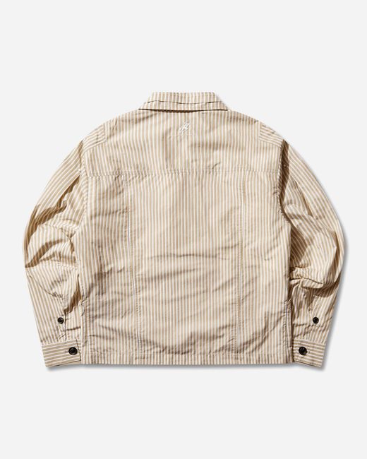 Asics Natural Novalis Mirbelioids Jacket Stripe for men