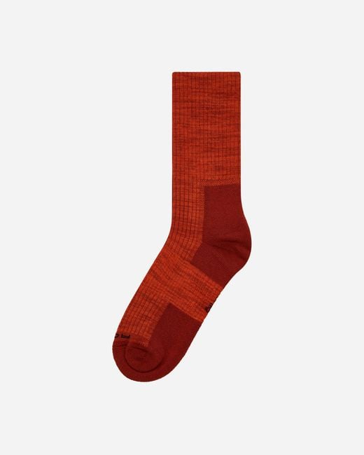 Nike Red Acg Everyday Cushioned Crew Socks Campfire Orange for men