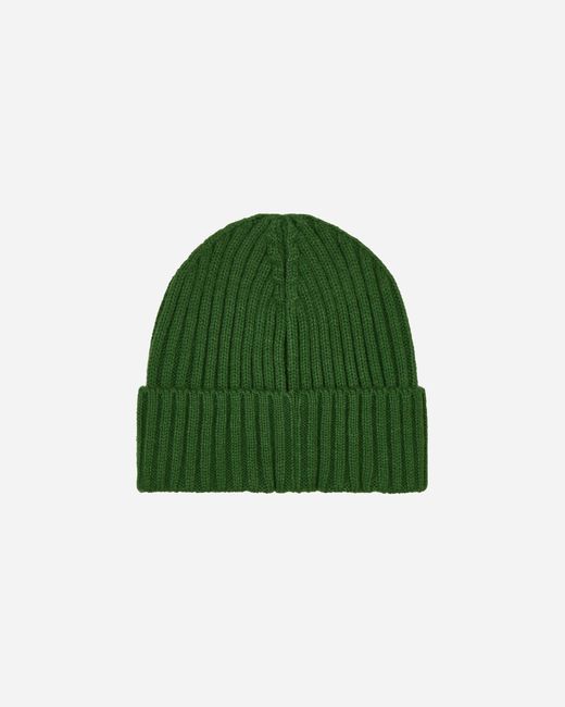 Dime Green Classic Fold Beanie Ivy for men