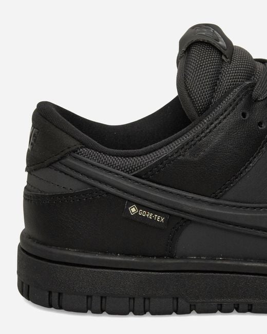 Nike Black Dunk Low Gore-tex Sneakers / Anthracite for men