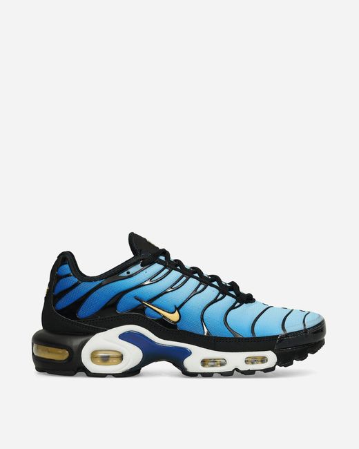 Nike Blue Air Max Plus Sneaker for men