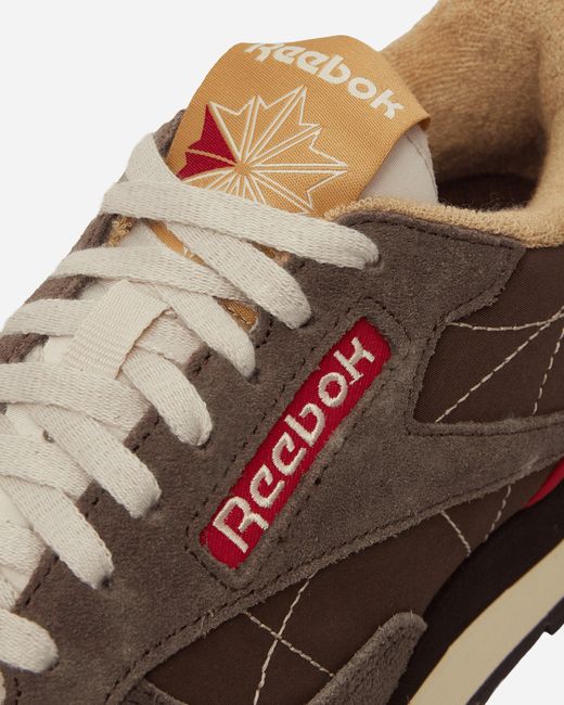 Reebok Brown Classic Leather Premium Sneakers Dark Chocolate for men
