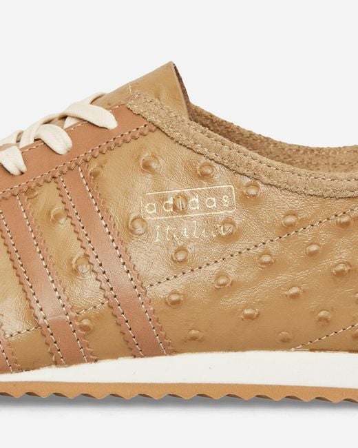 Adidas Natural Italia 60s Made In Italy Sneakers Cardboard / Desert for men