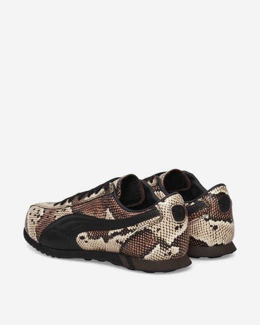 PUMA Brown Sprint Snake Sneakers Russet for men