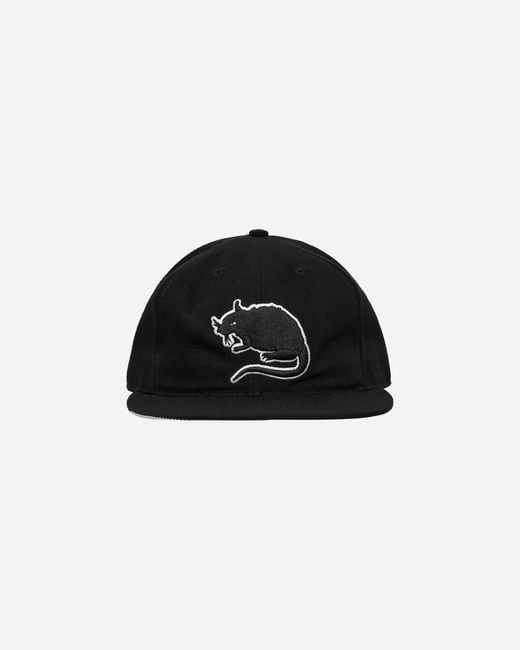 Stray Rats Black Rat Logo Fitted Hat for men