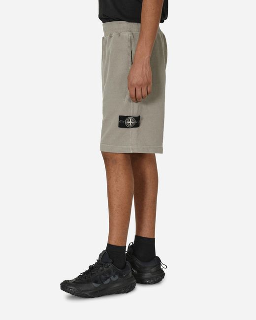 Stone Island Natural Closed Loop Project Sweatshorts Dust for men