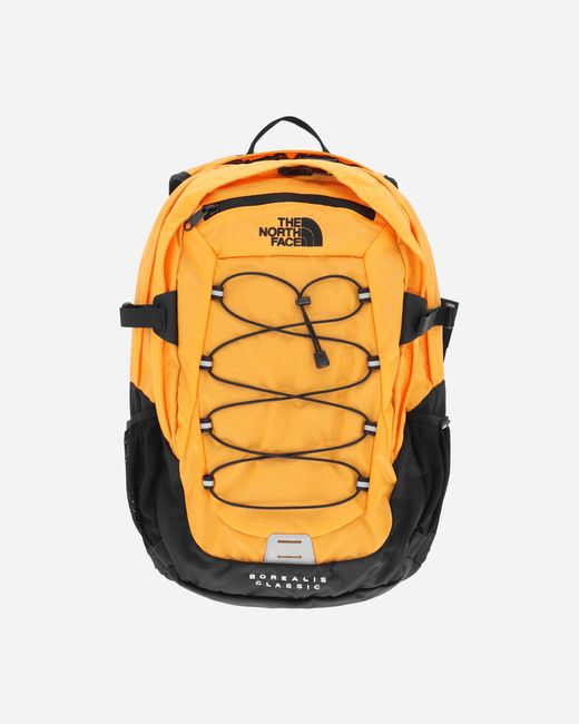 The North Face Borealis Classic Backpack Summit Gold in Orange for Men