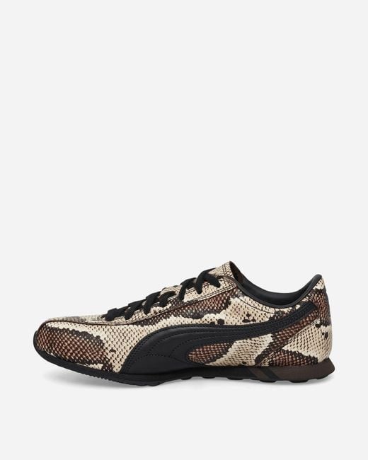 PUMA Brown Sprint Snake Sneakers Russet for men