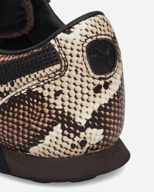 PUMA Brown Sprint Snake Sneakers Russet for men