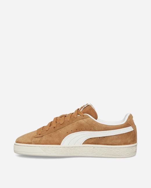 PUMA Brown Suede Charles F. Stead V Sneakers Honey Butter for men