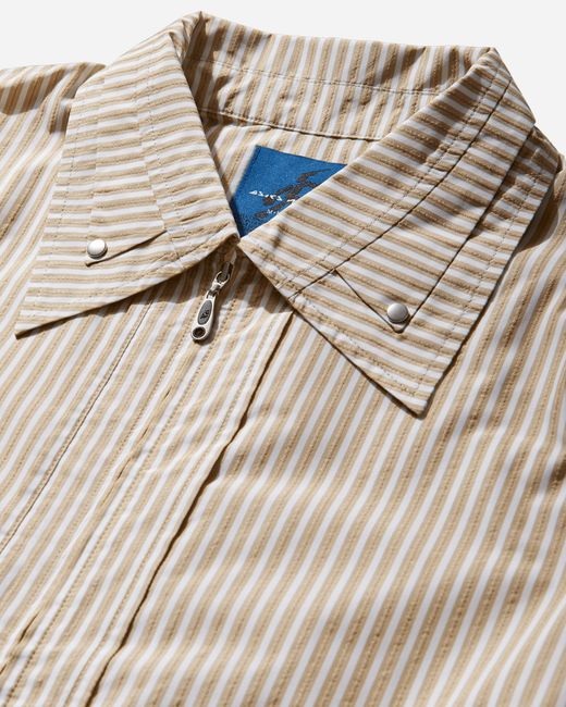 Asics Natural Novalis Mirbelioids Jacket Stripe for men