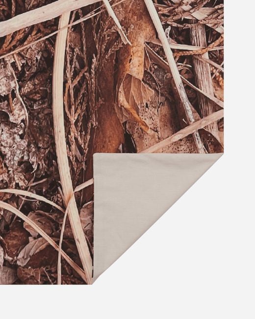 Serapis Brown Dirt Bedsheet for men