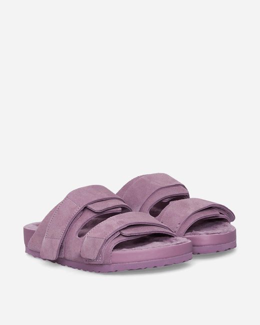 Birkenstock Purple Tekla Wmns Uji Sandals Mauve