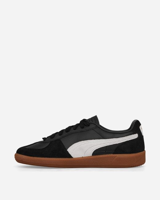 Puma leather 2024