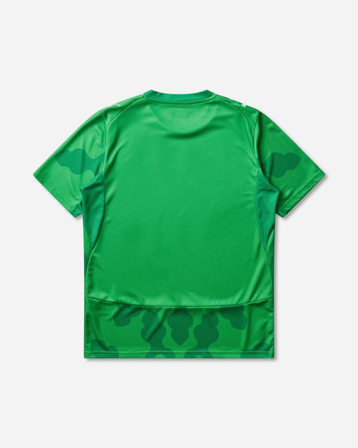 PUMA Green Men S Egypt X Salehe Bembury Goalkeeper Jersey Fast for men