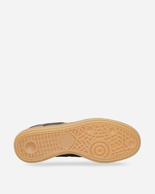 Adidas Brown Handball Spezial Sneakers Aurora Coffee for men