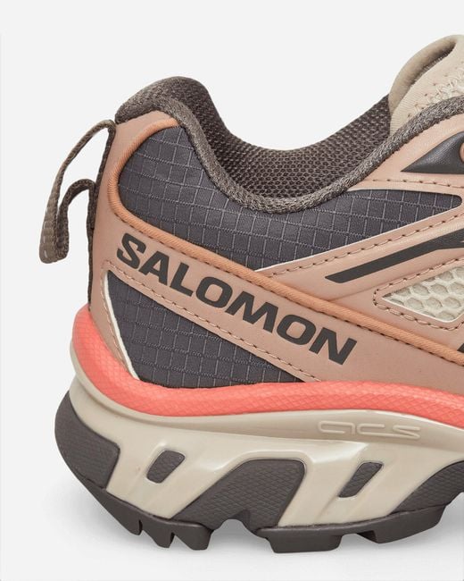 Salomon Brown Xt-6 Expanse Sneakers Natural / Cement for men