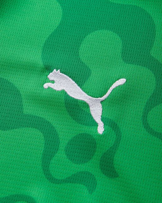 PUMA Green Men S Egypt X Salehe Bembury Goalkeeper Jersey Fast for men