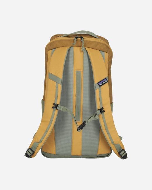 Patagonia Green Black Hole Pack 25l Pufferfish Gold for men