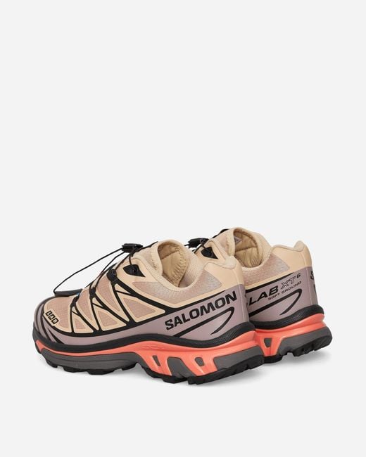 Salomon Brown Xt-6 Sneakers Hazelnut / Quail / Living Coral for men