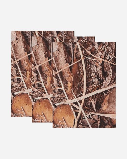 Serapis Brown Dirt Bedsheet for men