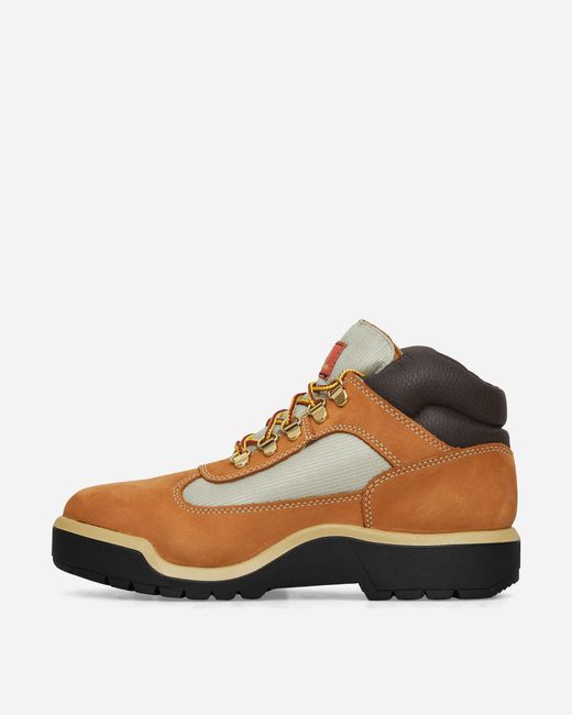 Timberland Field Mid Lace Up Waterproof Boots Wheat in Brown for