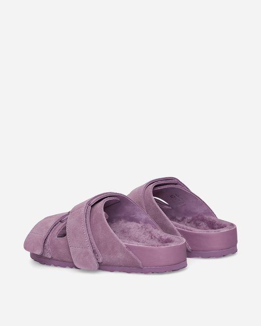 Birkenstock Purple Tekla Wmns Uji Sandals Mauve