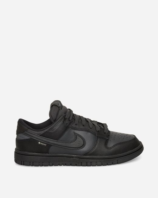 Nike Black Dunk Low Gore-tex Sneakers / Anthracite for men
