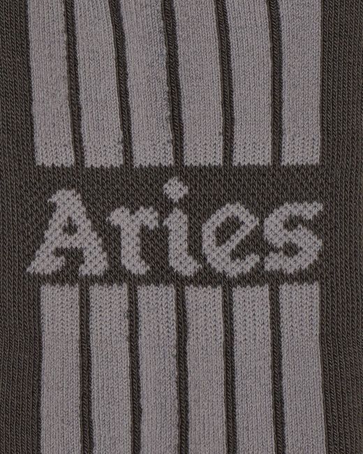 Aries Gray Column Socks for men