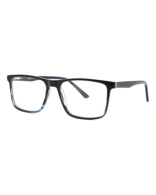 Arise Collective Black Alderwood Fh2220 C6