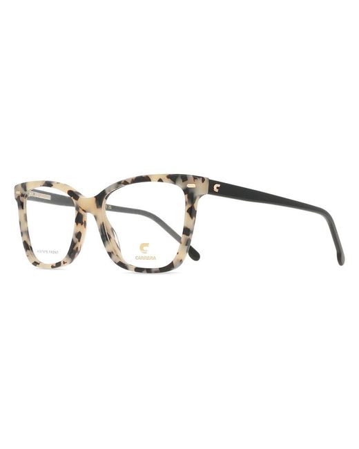 Carrera Black 3049 Ahf