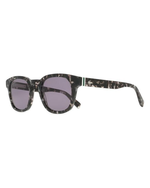 Lacoste Black L6015S 240