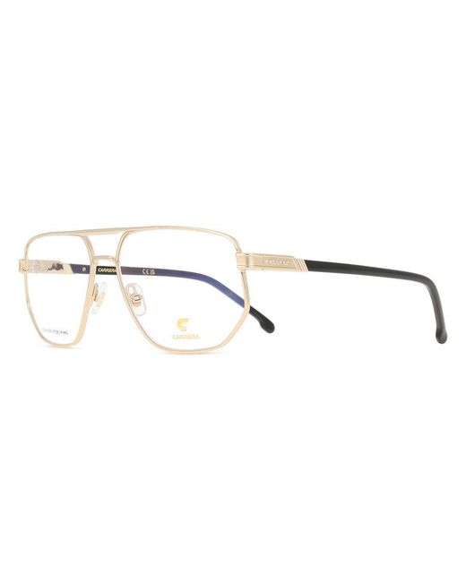 Carrera Black 1141 Rhl/2Y for men