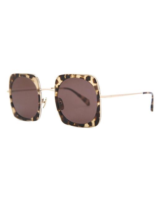 Kaleos Eyehunters Black Gudrun C2